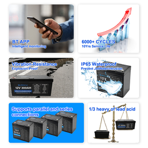 100Ah Lithium ion có thể sạc lại chu kỳ sâu 24V 200 AH Lớp Một + thông minh năng lượng mặt trời Pin Lithium Ion 12V 24V 200AH 300ah - Product Image 5