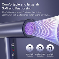 Prix de gros Souffleur de cheveux à air frais et chaud avec diffuseur de soins capillaires Tuyere amovible Réduction du bruit Sèche-cheveux électrique ionique
