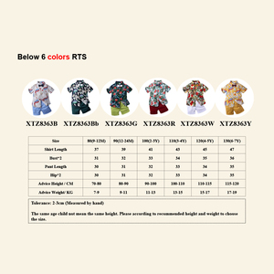 Ensemble <span class=keywords><strong>de</strong></span> vêtements pour garçons Kids Tales, 2 pièces, 100% coton, shorts et t-shirt décontractés, tenues d'été pour tout-petits, ensemble <span class=keywords><strong>de</strong></span> vêtements pour enfants, vente en gros - Product Image 2