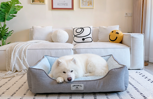 Cama de Lujo para Perros Yangyangpet de Terciopelo con Funda Extraíble y Lavable, Relleno de Espuma de Poliuretano, Forma Cuadrada, Diseño Sólido con Patrón de Dibujos Animados - Product Image 6