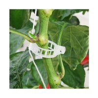Offre Spéciale Agriculture plante Clips tomate/concombre/poivre plante Clips serre plantes suspendues crochets