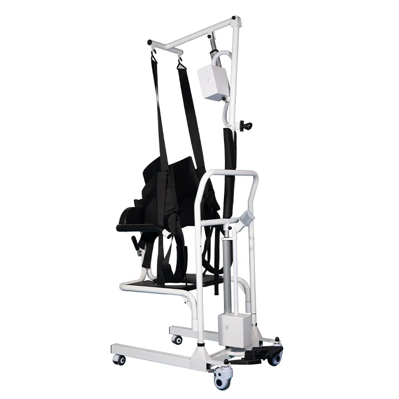 理学療法リハビリテーションの技術障害者用車椅子便器車椅子リフト患者用トランスファーチェア