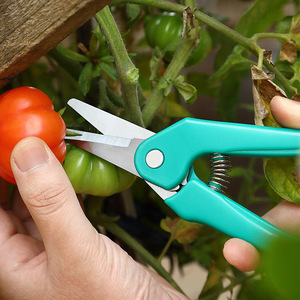 Tijeras de podar Pinheng para árboles frutales, de acero inoxidable, de 10-20 mm, para jardinería y recorte de ramas - Product Image 1
