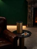 Diffuseur d'humidité électrique sans eau de luxe en métal pour voiture et hôtel, machine portable de parfum d'ambiance pour la maison avec 24h d'autonomie