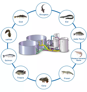 Nouveau <span class=keywords><strong>design</strong></span> haute concentration ozone air oxygène eau mélange injecteur aération protéine écumeur pour l'aquaculture - Product Image 6