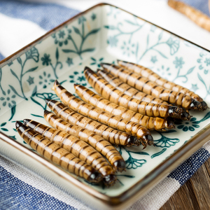 Sterilizzazione fisica e conservazione Eco Fresh Supperworm molitor muffa per geco cibo Torosfish pasto - Product Image 5