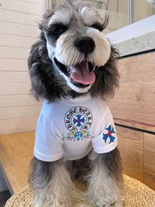 Conjunto de Camisetas Ligeras y Modernas con Patrón Cruzado a Juego para Dueños de Perros Grandes, Camiseta de Manga Corta de Algodón para Padres de Mascotas, Dorado - Product Image 4