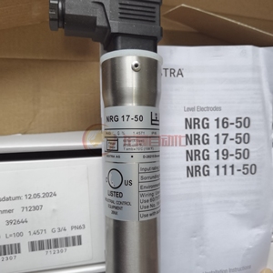 Capteur de niveau Gestra NRG16-11 1500mm, neuf, original, livraison rapide, électrode de niveau d'eau, origine américaine, montage standard - Product Image 2