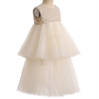 Robe de princesse en tulle à deux niveaux sans manches avec corsage à sequins champagne pour filles, idéale pour les mariages, anniversaires, concours de beauté et fêtes formelles pour les tout-petits et les enfants