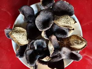 Auténtico EXTRACTO DE <span class=keywords><strong>Aloe</strong></span> <span class=keywords><strong>Vera</strong></span> seco de 9 años Old Tangerine Peel Specialty Medicine Food Body Conditioning Powder Variedad incluida - Product Image 6