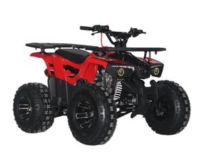 <span class=keywords><strong>Cuatrimoto</strong></span> ATV de 125cc, 4 tiempos, refrigeración por aire natural, arranque eléctrico, transmisión automática por cadena, de alta capacidad, para montaña - Product Image 1