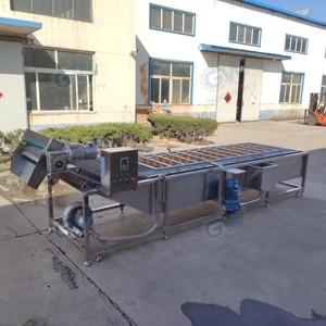 Çok Fonksiyonlu Büyük Meyve Sebze Kabarcık Yıkama Makinesi, Zencefil Bitkisel İlaçları için Sürekli Yüksek Basınçlı Püskürtme Özelliğiyle - Product Image 5