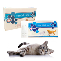 Hochwertiges Katzen-Calicivirus-Testkit FCV-Testkit Calicivirus-Test für Katzen