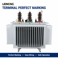 Transformador de Alta Tensión Sumergido en Aceite LEINENG de 6KV 35KV para Subestaciones, Transformadores de Potencia Trifásicos de Media y Alta Tensión