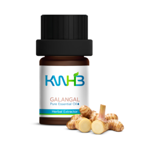 KWHB Galangal Pure <b>Essential</b> Oil 5ml Herbal Extractor for Household Use Product form Thailand - Product Image 1