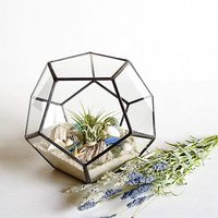 Vente en gros Terrarium en verre cylindrique Respectueux de l'environnement Miniature Fairy Garden Container Air Plant Holder pour la maison Décoration de table Cadeau