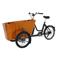 Sepeda Tricycle Listrik Roda Tiga untuk Dewasa dengan Bak Terbuka dan Pengangkut Hewan Peliharaan