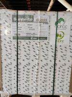 Papier Catalogue NEVIA C2s GLOSSY Or HIKOTE pour Impression Offset sur Carton