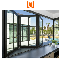 Fenêtres pliantes en verre double sur mesure pour balcon, résistantes aux ouragans, fabriquées par WANJIA