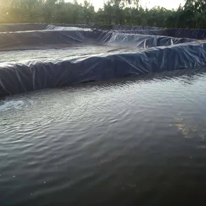 Fish Pond Liner Geotextile Membrane Farm Plastic Water Tank 1mm 2mm HDPE Geomembrane Polyethylene Sheet Epdm Rubber