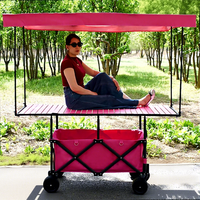 Chariot pliant d'extérieur personnalisé à roues larges, chariot de jardin, chariot de plage, chariot de camping avec pare-soleil amovible, poussette-chariot