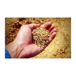用于动物健康喂养的优质麦麸