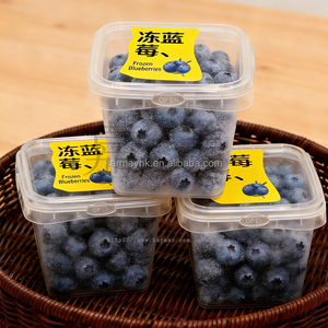 Frozed persimmon <b>plastic</b> clear <b>square</b> 1L 30 oz Air Tight With Leak-Resistant Lids IML <b>container</b> security lock - Product Image 4