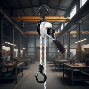 Palans à chaîne manuels 1/2T 10FT, levage en acier allié G80, frein à double pignon, usage industriel - Product Image 2