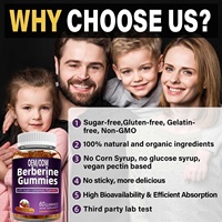Gummies véganes de berbérine sans sucre à marque privée OEM/ODM, supplément HCL, extrait de cannelle de Ceylan et de curcuma, améliore l'immunité, pour adultes