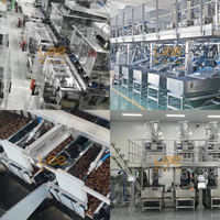 Machine d'emballage pour aliments pour chiens, machine d'emballage pour aliments secs pour animaux de compagnie en sachets, machine d'emballage pour aliments pour oiseaux, machine d'emballage pour biscuits