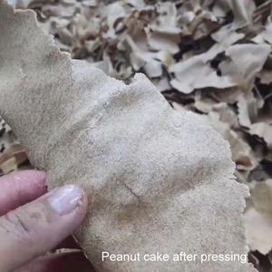 Máy Ép Dầu Hạt Hướng Dương Đậu Tương Đậu Phộng Hoàn Chỉnh Máy Ép Dầu Tinh Chế Máy Ép Dầu - Product Image 6