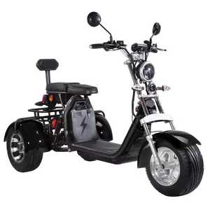 Triciclo Eléctrico Citycoco con Homologación EEC, Scooter de 3 Ruedas con Neumáticos Anchos en Venta, Triciclo Citycoco - Product Image 3