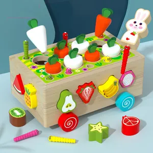 Hot Selling Magnetic Fishing Wooden Radish Fruit Cart Toy Shape Matching Blocks Montessori Educational Toys For Children