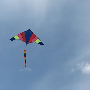 Cometa delta con patrón de arcoíris