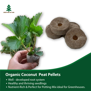 Bloque de Turba de Coco Orgánica GreenPine GP04 de 4.3cm, Perlas de Jiffy Ecológicas y Biodegradables para la Germinación de Semillas y el Crecimiento de Plantas - Product Image 5