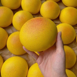 Juguete Antiestrés de Taro Suave y Elástico con Textura de Rebote Lento para Relajación y Ventilación - Product Image 5