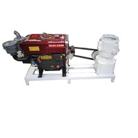 Machine à granulés d'aliments pour animaux de type diesel 200 kg/h pour aliments pour vaches et poulets