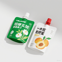 Sachet Doypack à bec verseur en PE imprimé par gravure personnalisée, rechargeable, pour liquides, yaourts aux fruits, emballage réutilisable pour aliments pour bébés