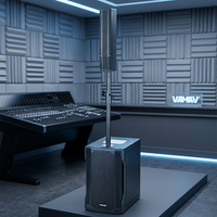 VAMAV Bocinas Profesional EVO10 Altavoz columna activo de madera 10", 500W RMS, DSP, Clase D, Bluetooth, USB y micrófono