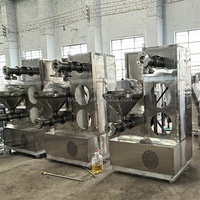 Machine à pâtes automatique en acier inoxydable pour spaghetti macaroni patate douce maïs farine de manioc nouilles en Inde