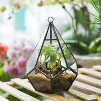 Art-Deco-inspiriertes Glas-Pyramiden-Terrarium als Tischdekoration mit Anpassbarer Farbe & Logo für Heim & Büro
