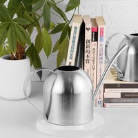 Arrosoir d'intérieur personnalisé en acier inoxydable de 1000 ml, arrosoir en métal pour plantes d'intérieur