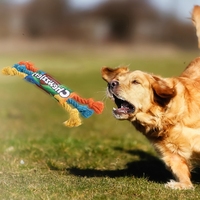 Jouet à mâcher Rainbow Twist pour chiens - Utilisation quotidienne multifonctionnelle, design inspiré des bonbons fruités, fournitures pour animaux de compagnie