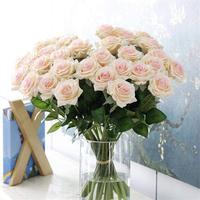 Handgemachte moderne Acryl Display Zylinder Vase transparent umwelt freundlich und recycelbar für den Heim-oder Büro gebrauch