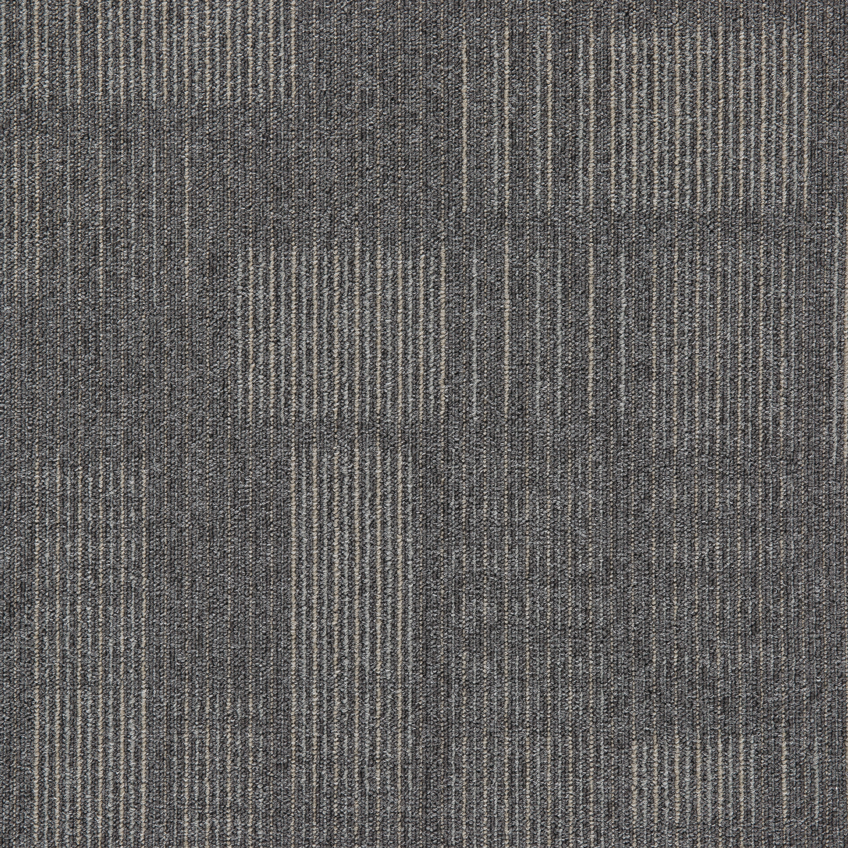 Gris10
