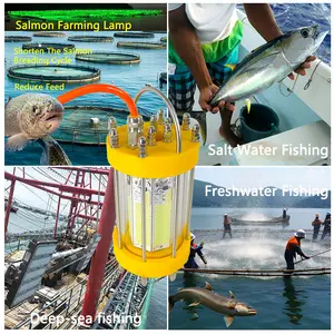 1000W हरा 220V एलईडी फिशिंग लाइट वॉटर-प्रूफ स्क्विड और सैल्मन फार्मिंग लैंप स्क्विड फिशिंग के लिए मछली को आकर्षित करता है