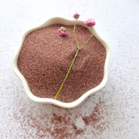 Granulats de grenat marin naturel à faible teneur en poussière 80 mesh pour finition de bords supérieure de l'acier inoxydable, du marbre et du verre par découpe jet d'eau