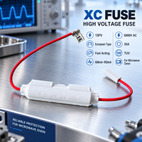 Fusible haute tension XC FUSE 13FV type européen à action rapide 600mA-950mA 5000V AC 35A TUV pour four à micro-ondes
