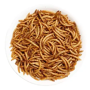 Золотые рыбки черви сушеный мучной червь кои Кинг Бетта декоративная рыба рассол яйца креветки рыбный корм