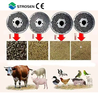 Strosen poisson alimentation blé bois 2.5mm-12mm disque de meulage Machine à granulés pièces de rechange écran maille plat matrice 125 150 160 180 220